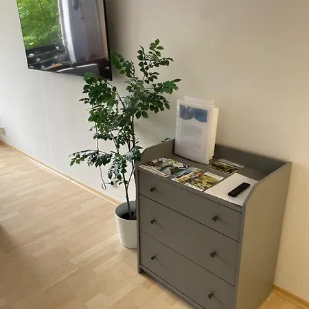 Appartamento Bis Zu 6 Personen Gruppen, 3 Balkonen Und Kostenlosen Parkplaetzen Im Schwarzwald, Nahe *