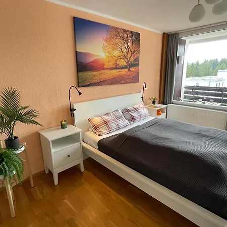Appartamento Bis Zu 6 Personen Gruppen, 3 Balkonen Und Kostenlosen Parkplaetzen Im Schwarzwald, Nahe